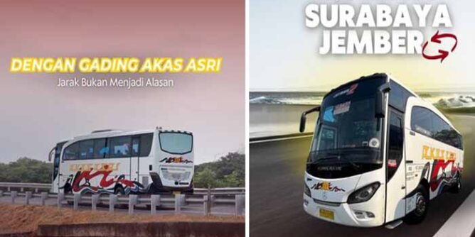 jadwal bus akas asri surabaya-jember