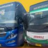 jadwal bus kota rute bogor ke jabodetabek