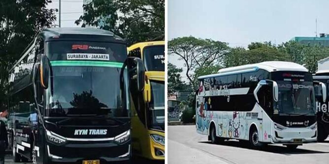 daftar lengkap rute bus kym trans