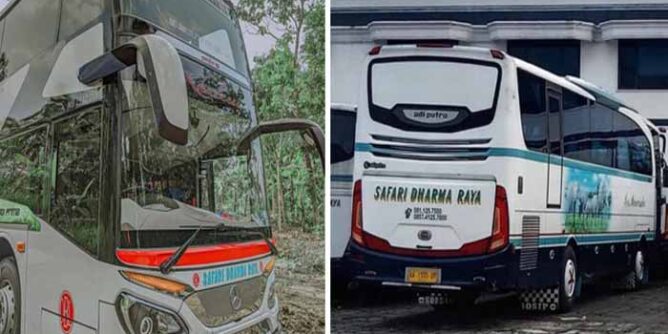 pilihan bus rute denpasar ke pulau jawa