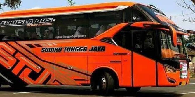 bus sudiro tungga jaya operasikan patas ngawi-surabaya