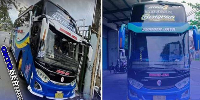 jadwal dan rute lengkap bus sumber jaya