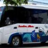 harga tiket bus sumber alam untuk nataru 2024/2025