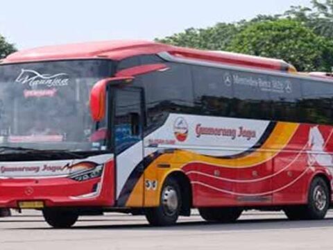 Bus Gumarang Jaya Layani Bandung-Sumbar