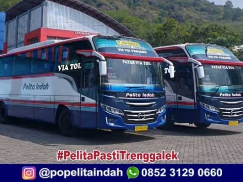 Jadwal Keberangkatan Bus Pelita Indah