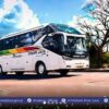Ini Jadwal dan Rute JRC Bus Sinar Jaya