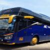 Jadwal Bus Madinah Trans dari Terminal Mamuju