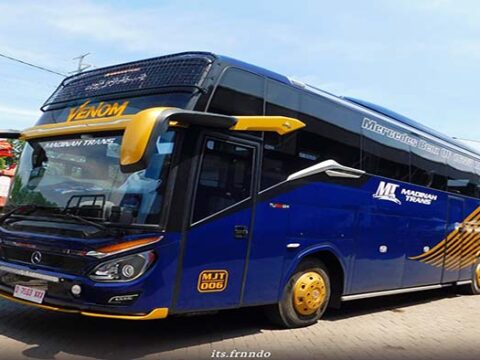 Jadwal Bus Madinah Trans dari Terminal Mamuju