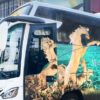 Jadwal Bus dari Citra Maja City